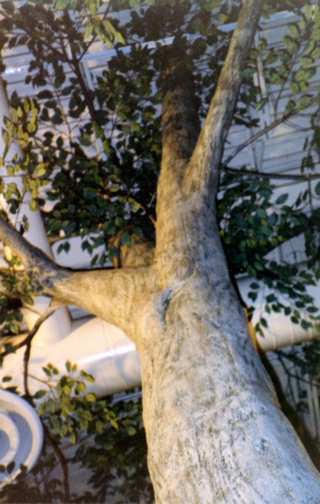 Tree sculpture by Paul Cavilla integrated into a Toronto café interior